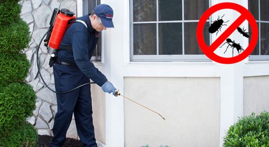 Armutlu Dezenfeksiyon böcek ilaçlama ve haşere kontrolü — ilaclama-tr.com